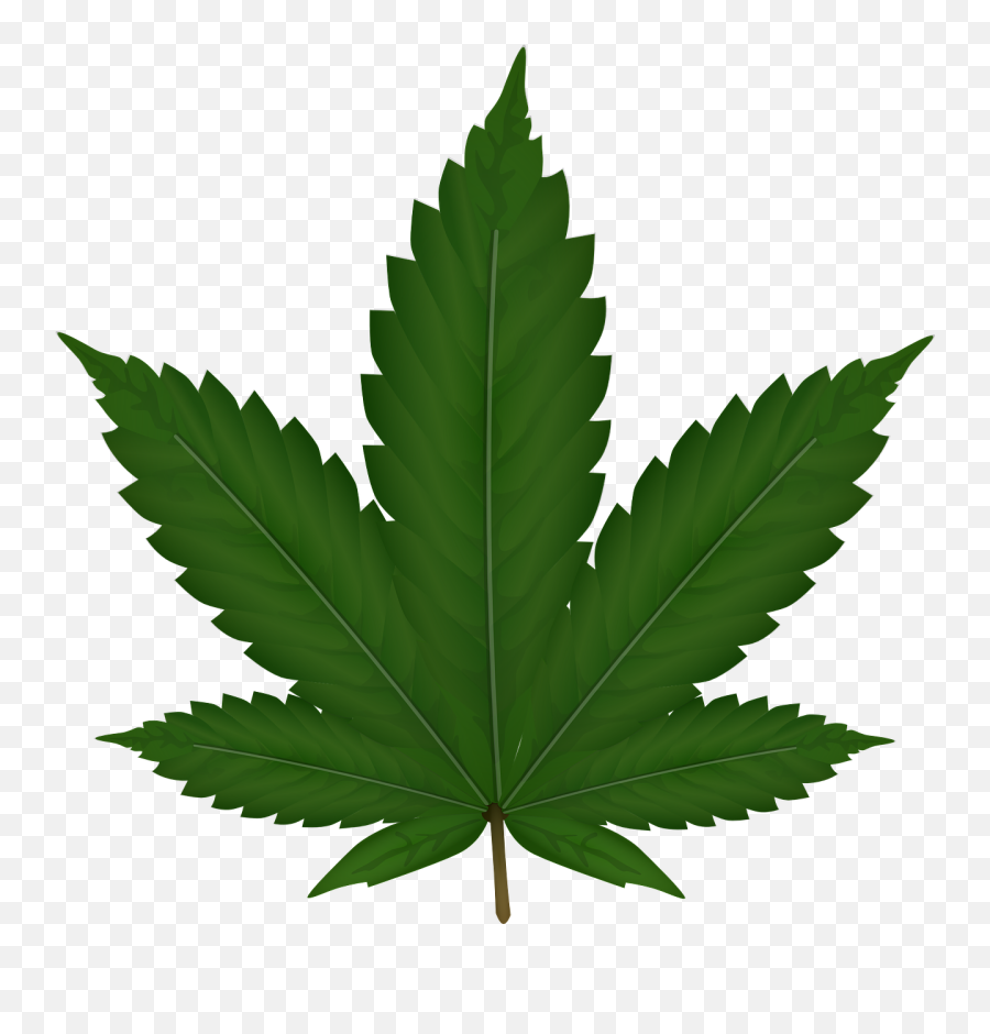 Cannabis Hemp Leaf Weed Reed - Transparent Cartoon Weed Leaf Emoji,Pot Leaf Emoji
