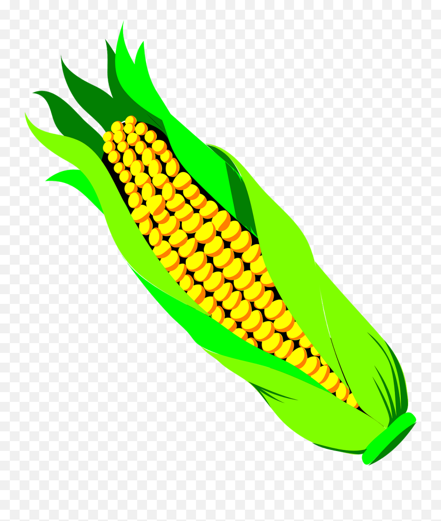 Corn Spike Agriculture Harvest Food - Corn Clipart With Transparent Background Emoji,Corn Dog Emoji