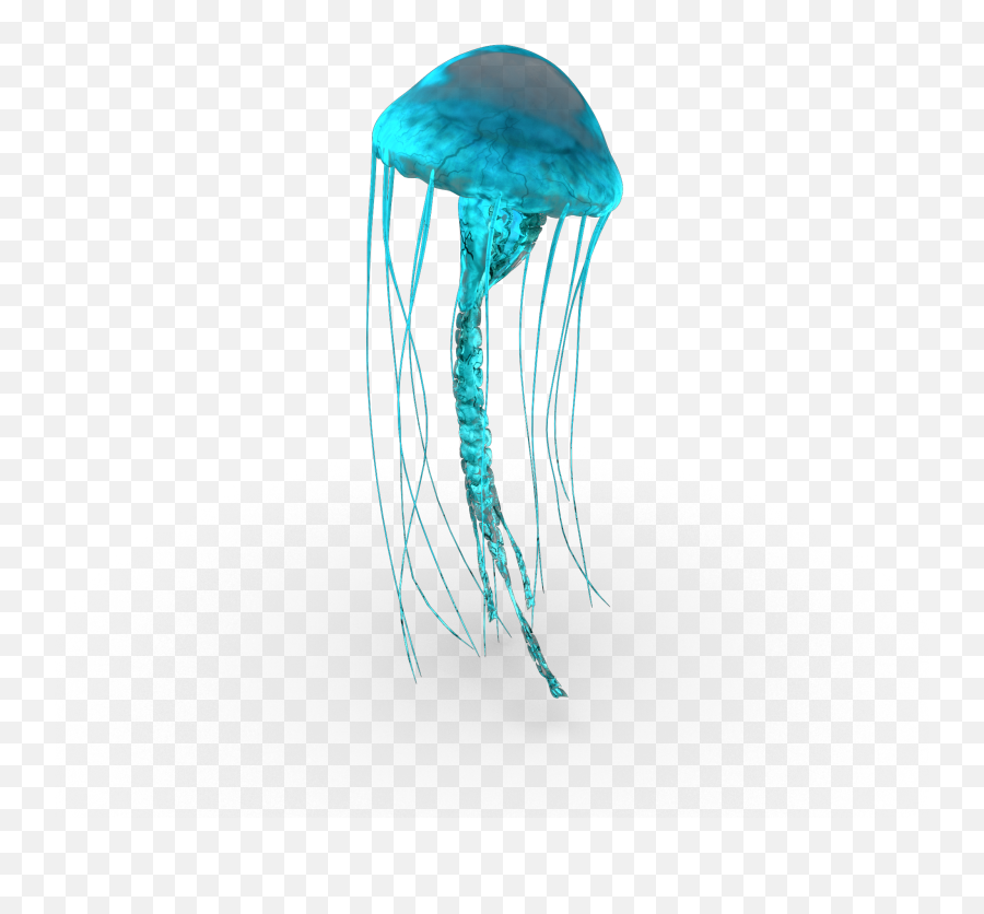 Jellyfish Teal Glow Andreamadison - Bioluminescence Emoji,Jellyfish Emoji