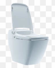 Prodigy Smart Toilet Emoji,Toilet Emoji