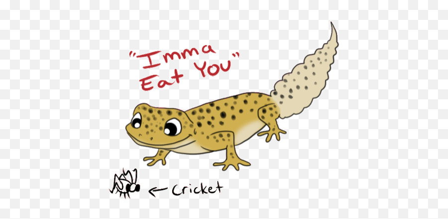 Top Lizard Stickers For Android Ios - Cute Leopard Gecko Gifs Emoji,Lizard Emoji