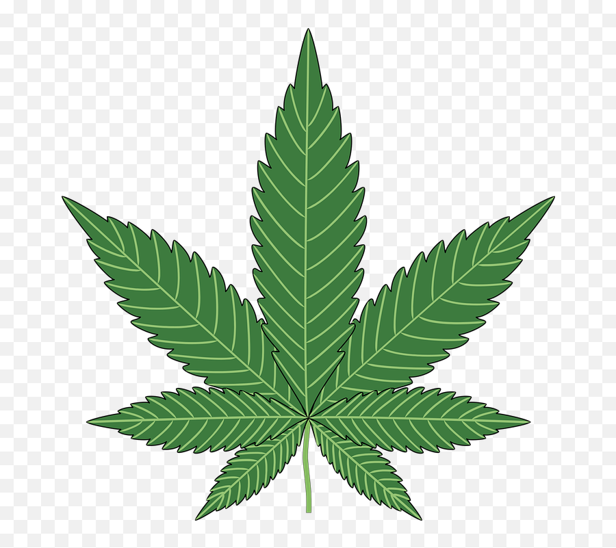 Baking Cannabis Hemp - Marijuana Png Emoji,Pot Leaf Emoji