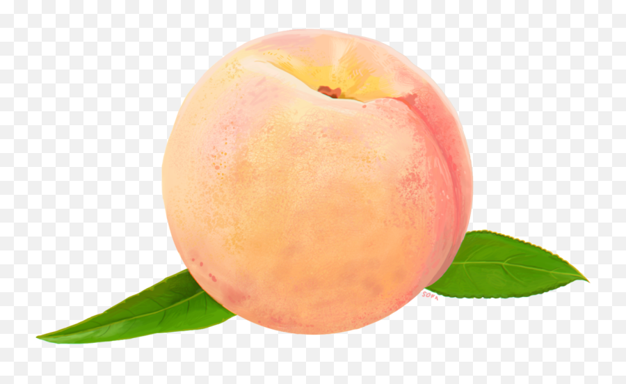 Peach Food Clip Art - Transparent Transparent Background Peach Emoji,Peach Emoji Transparent