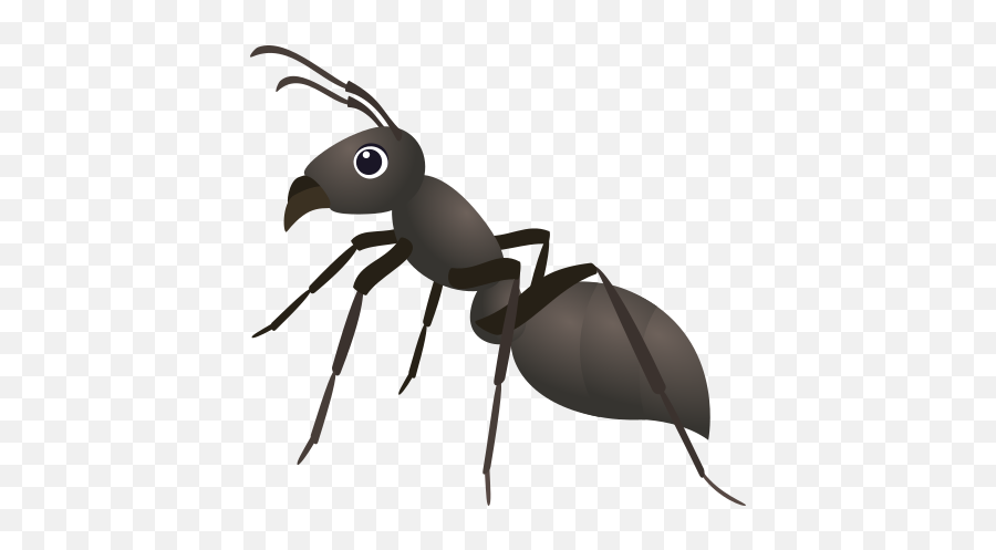 Emoji Ant To Copy Paste - Parasitism,Spider Emoji
