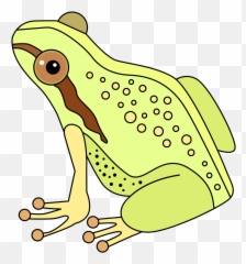 Frog clipart Free download transparent PNG Creazilla - Clipart Emoji