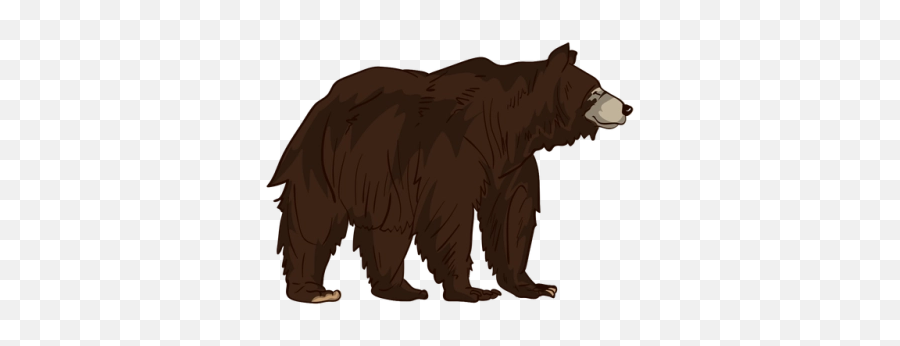 Brown Png And Vectors For Free Download - Grizzly Bear Emoji,Coffee Poodle Emoji