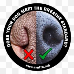 Nasal Stenosis In Dogs - Boston Terrier Stenotic Nares Emoji,Pug Emoji Copy And Paste