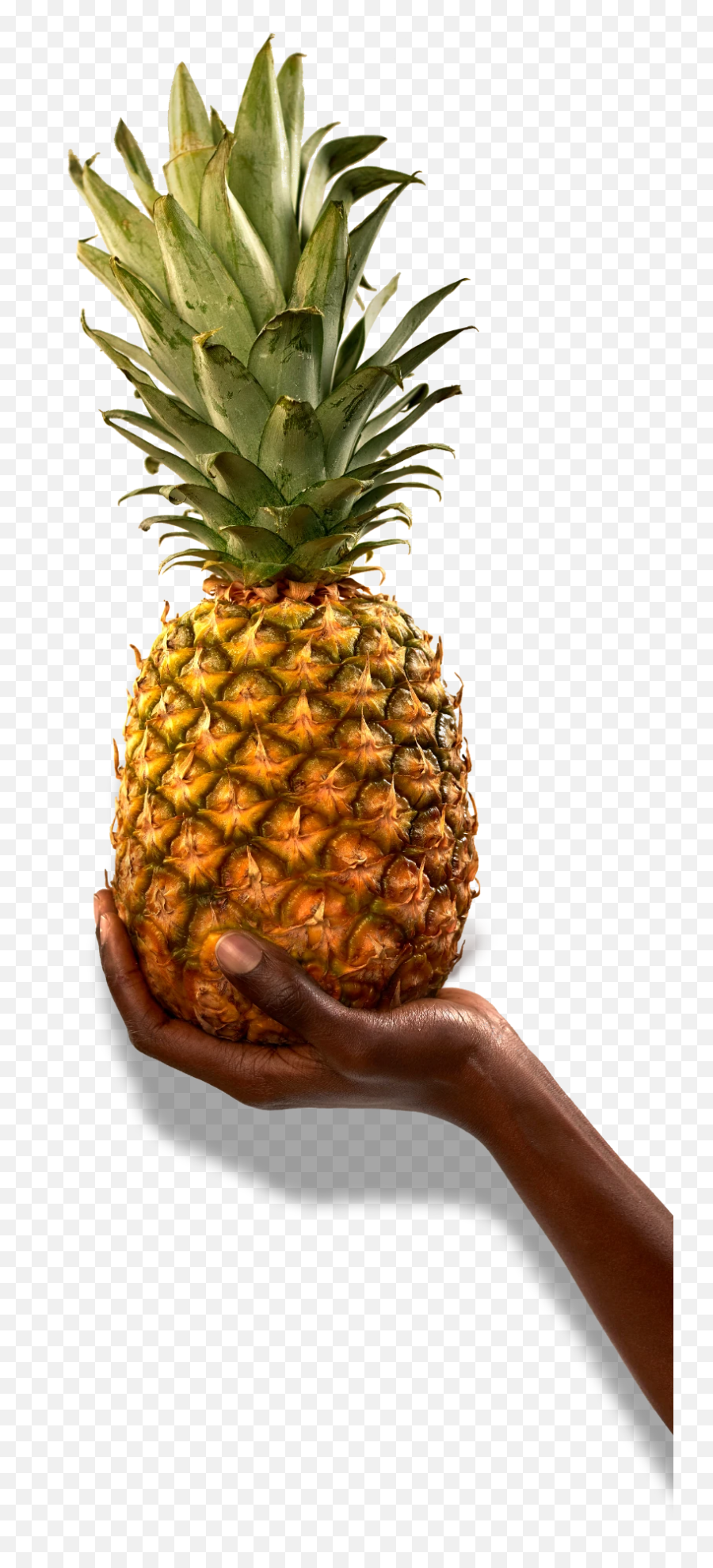 Our Fruit - Party Pineapple U2013 The Jali Fruit Co Pineapple Emoji,Pineapple Emoji