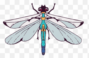 Dragonfly Svg Transparent Png Clipart - Colorful Dragonfly Designs With Transparent Background Emoji,Dragonfly Emoji