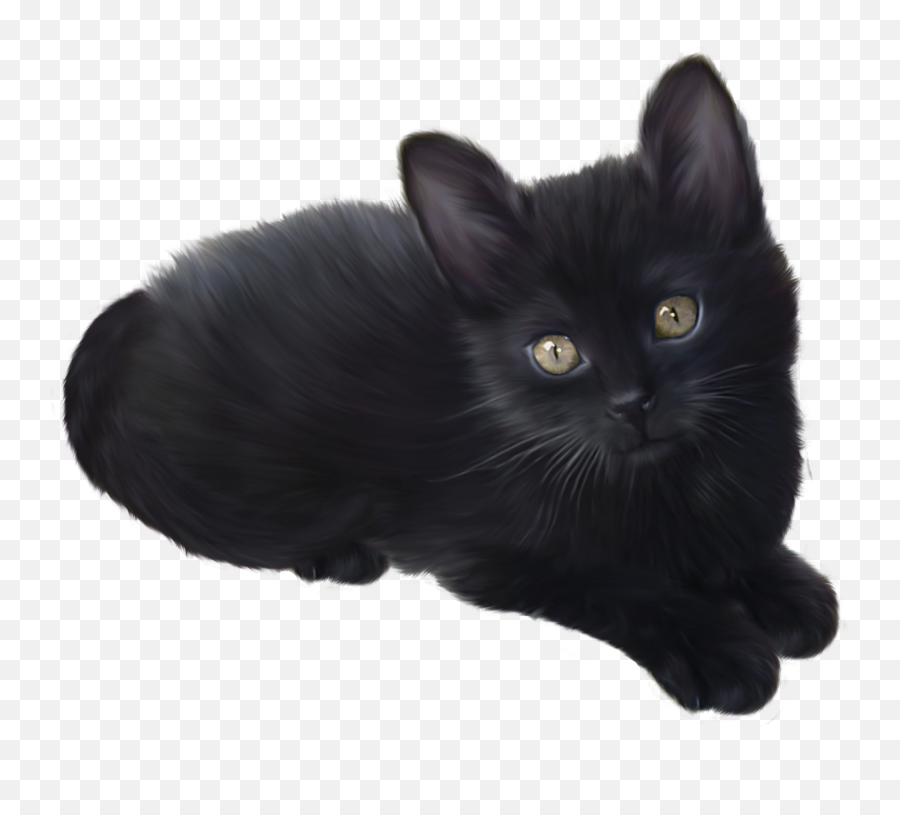 Free White Kitten Png Download Free Clip Art Free Clip Art - Black Kitten Transparent Background Emoji,White Cat Emoji