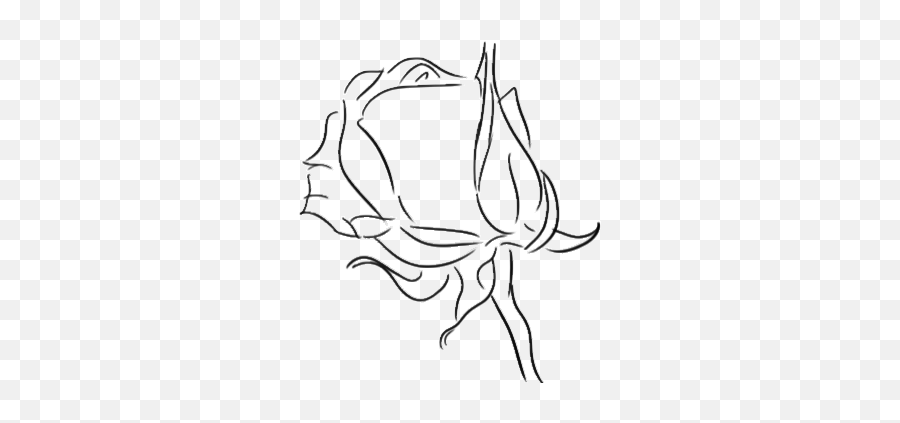Top War Of The Roses Stickers For - Flower Drawing Gif Transparent Emoji,Wilting Rose Emoji