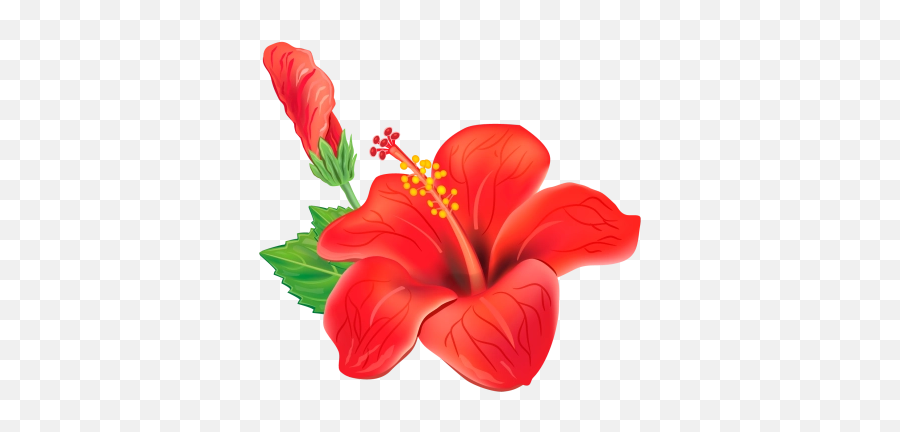 Search For - Tropical Flower Clipart Png Emoji,Flamenca Emoji