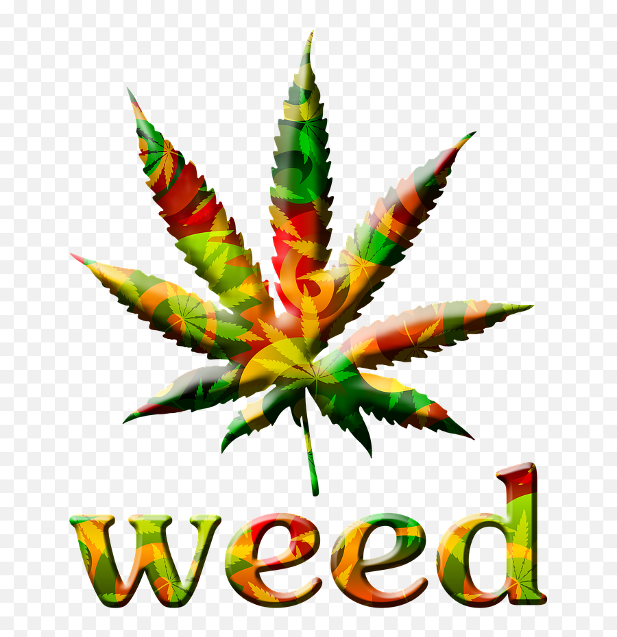 Marijuana Leaf Bright Graphic Free Pictures Free Photos - Weed Leaf Transparent Png Emoji,Pot Leaf Emoji