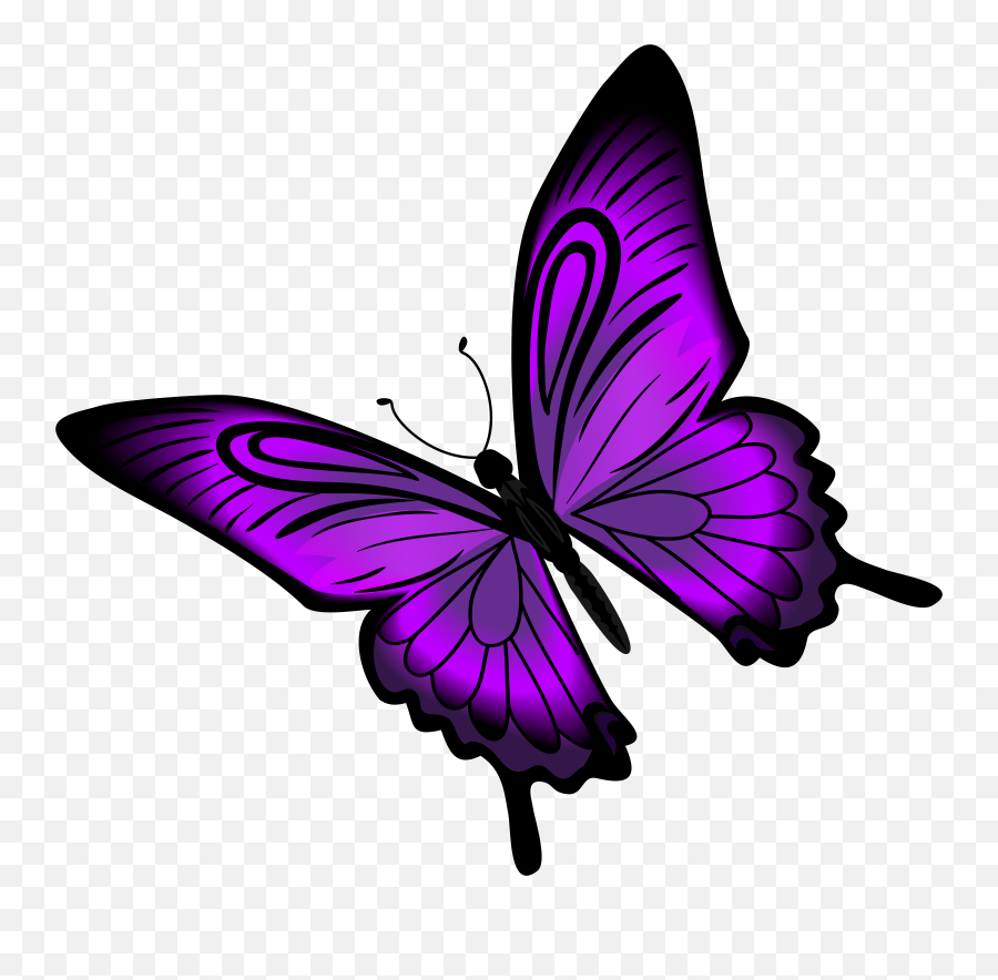 Apple Vector Freeuse Library Png Files Emoji,Butterfly Emoji Apple