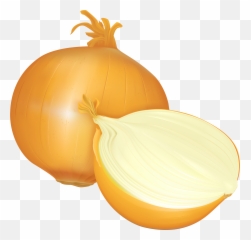 Onion Clipart Emoji Picture - Png