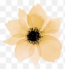 Yellow Daisy Png - Flower Drawing Emoji