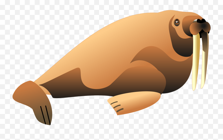 Walrus Clipart - Walrus Clipart Emoji,Walrus Emoji