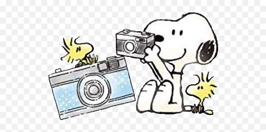 Snoopy Camera Peanuts Sticker By Miumiuu003d - U003d Snoopy Camera Emoji,Peanuts Emoji