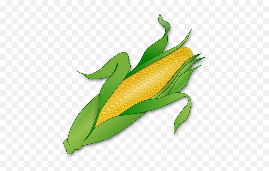 Fresh Corn Image - Free Clipart Corn Emoji,Corn Dog Emoji