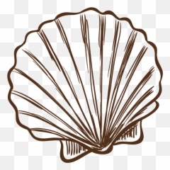 Concha Png - Seashell Illustration Png Emoji,Roast Hand Emoji