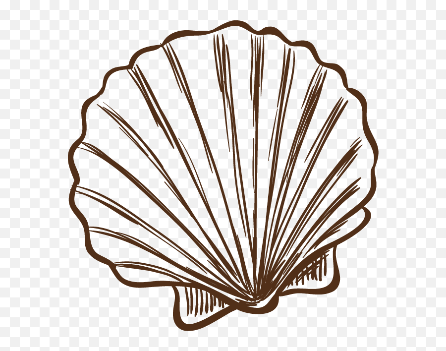 Concha Png - Seashell Illustration Png Emoji,Roast Hand Emoji