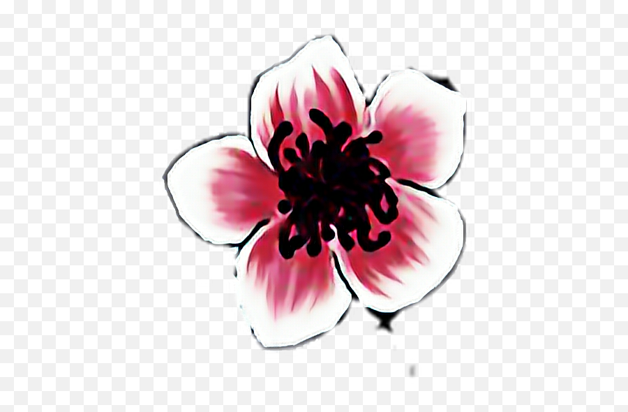 Flower - Girly Emoji,Sakura Emoji