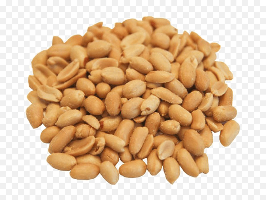 Peanut Vegetarian Cuisine Legume Seed - Peenut Png Download Transparent Peanuts Emoji,Peanut Emoji