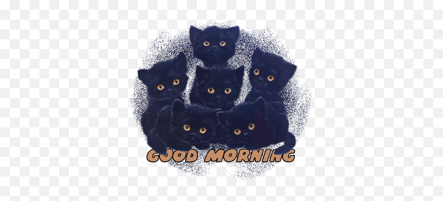 Cats Italy Stickers For Android Ios - Black Cat Emoji,Blushing Cat Emoji