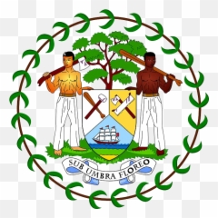Color Codes Pictures Of Belize Flag - Government Logo Emoji