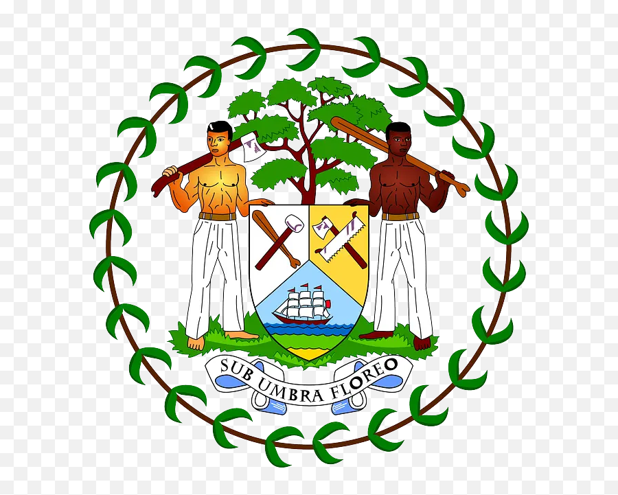 Color Codes Pictures Of Belize Flag - Government Of Belize Logo Emoji,Ecuadorian Flag Emoji