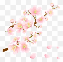 Sakura Png Emoji,Sakura Blossom Emoji