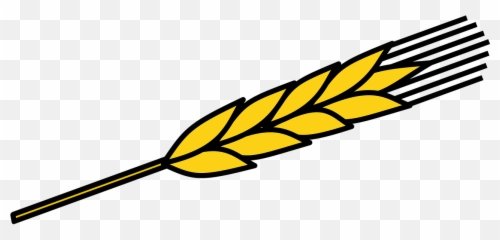 Corn Food Maize Plant Vegetable - Ears Of Clipart Emoji