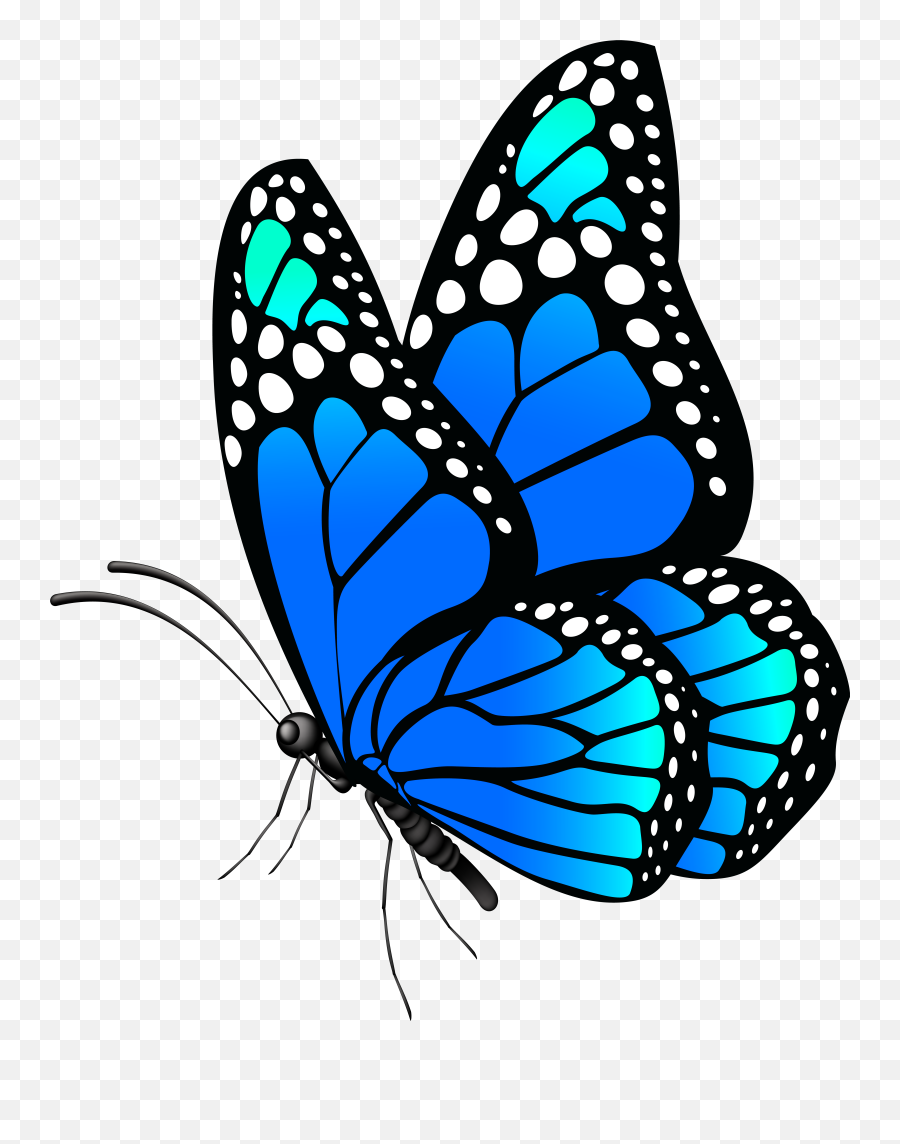 Butterfly Clipart Blue Picture Emoji,Butterfly Emoji Apple