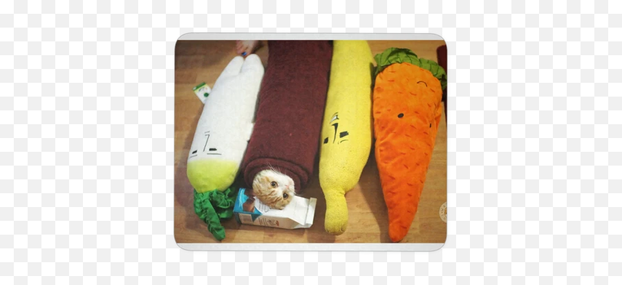 Products U2013 Tagged Tech U2013 Waffles The Cat - Longboard Emoji,Baguette Emoji