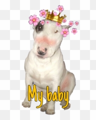 Popular And Trending Doogie Stickers On Picsart - Old English Terrier Emoji,Dookie Emoji