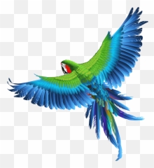 Transparent Parrot Clipart - Birds Images Hd Png Emoji