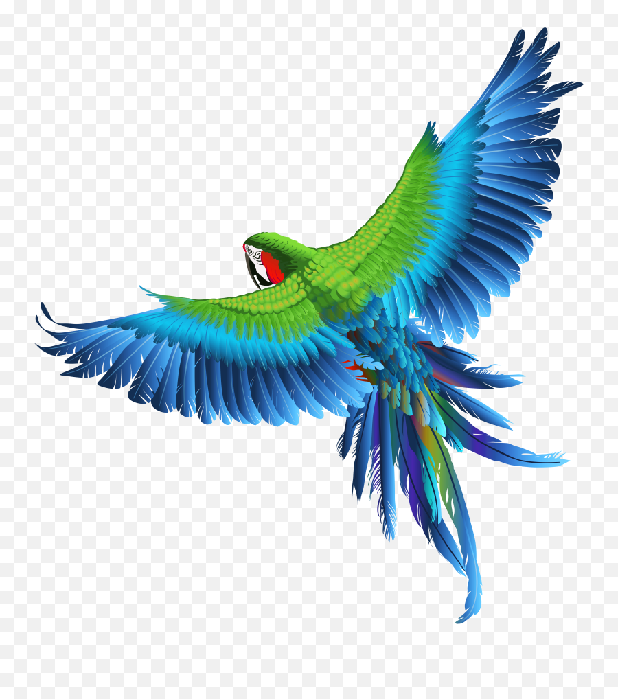 Transparent Parrot Clipart - Birds Images Hd Png Emoji,Parakeet Emoji