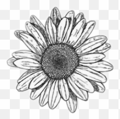 Tumblr Emoji Emoticon Transparente Red - Flower Drawing Png