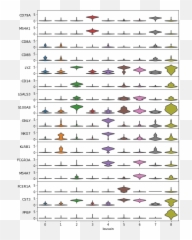 Added Visualizations For Variables Ordered By Observations - Drawer Emoji,Violin Emoji