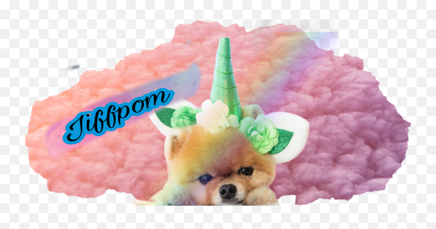The Newest Jiffpom Stickers On Picsart - Pomeranian Emoji,Jiffpom Emoji