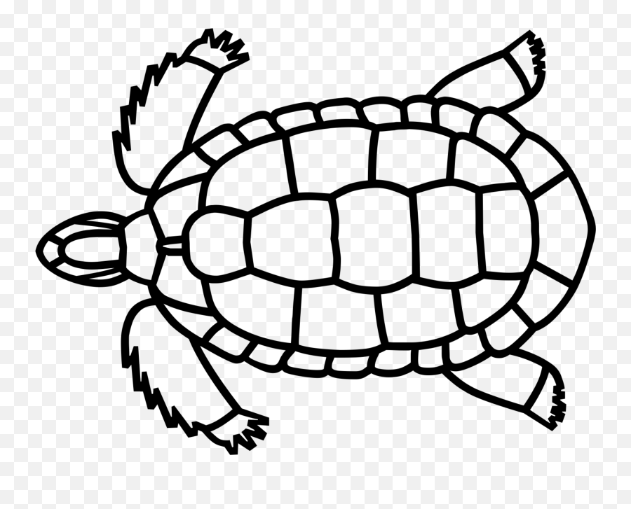 Turtle Tortoise Sticker - Dot Emoji,Tortoise Emoji