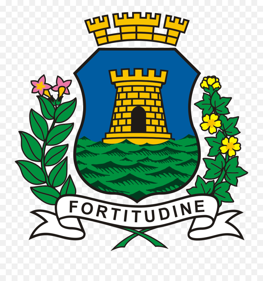 Brasao Fortaleza Ceara Brasil New - Prefeitura De Fortaleza Emoji,Brazil Flag Emoji