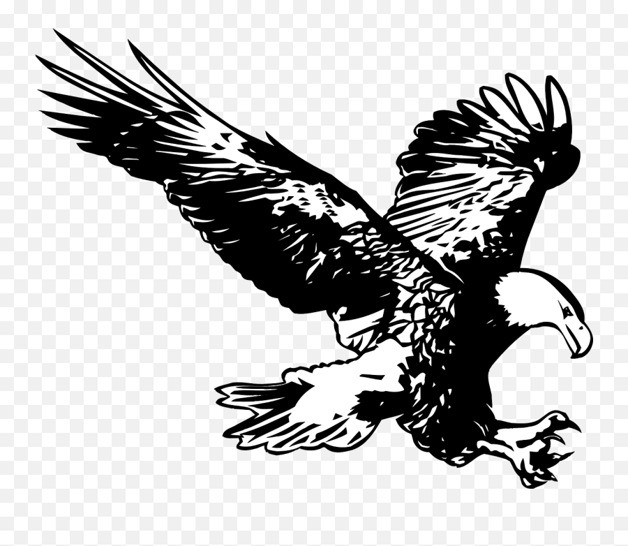 Eagle Black And White Birds Birds - Easthampton High School Logo Emoji,Virgin Islands Flag Emoji