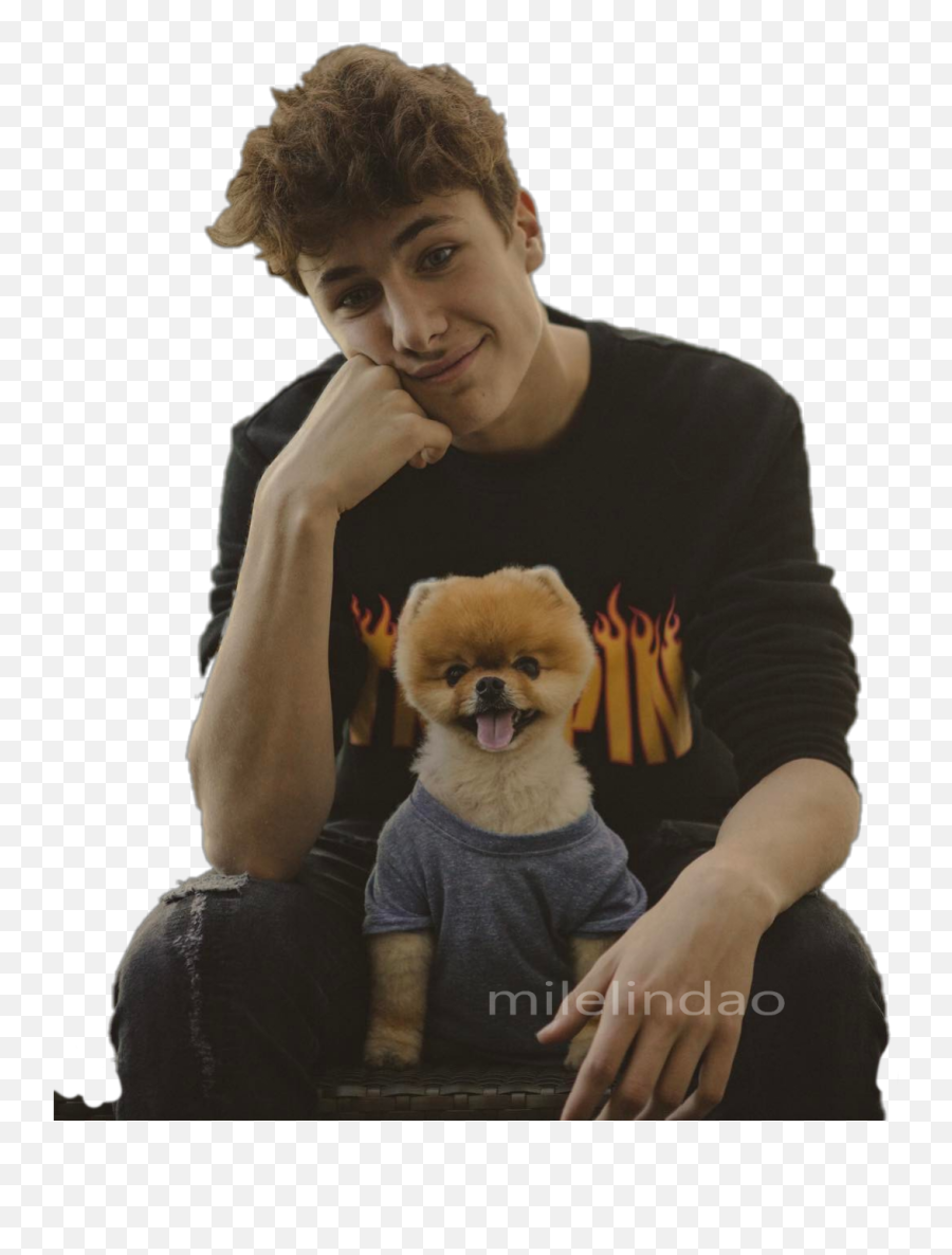 Juanpazurita Zuricata Youtube Youtubers Jiffpom Jiffpom - Juanpa Zurita Y El Perrito Emoji,Jiffpom Emoji