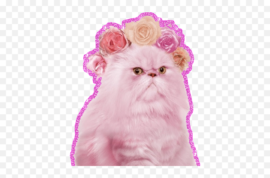 Top Mad Max Road Warrior Stickers For - Pink Cat Flower Crown Emoji,Angry Cat Emoji