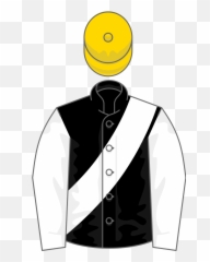 Owner Mr P A Philipps - Horse Racing Emoji