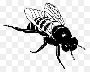 Honey Bee Stripes Insect Wings - Clipart Black And White Bee Emoji,Butterfly Emoji