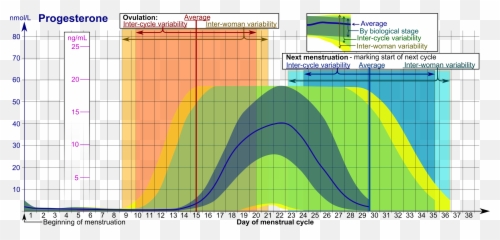 Progesterone During Menstrual Cycle - Progesterona En Ciclo Emoji