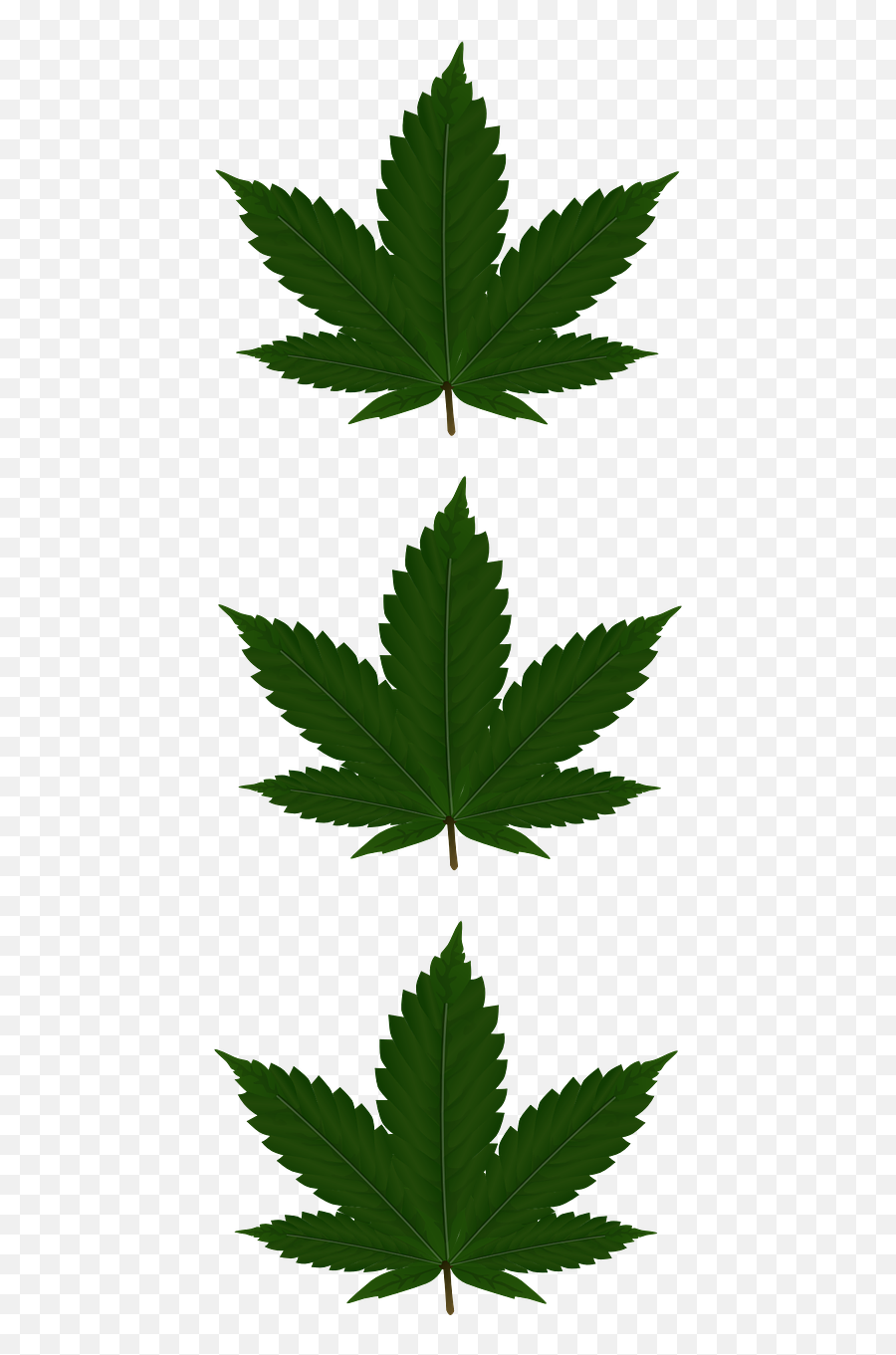 Cannabis Leaves Three Green Free Vector Graphics - Transparent Weed Plant Clipart Emoji,Pot Leaf Emoji