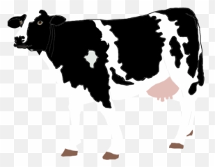 Cow Drawing - Realistic Clipart Png Emoji
